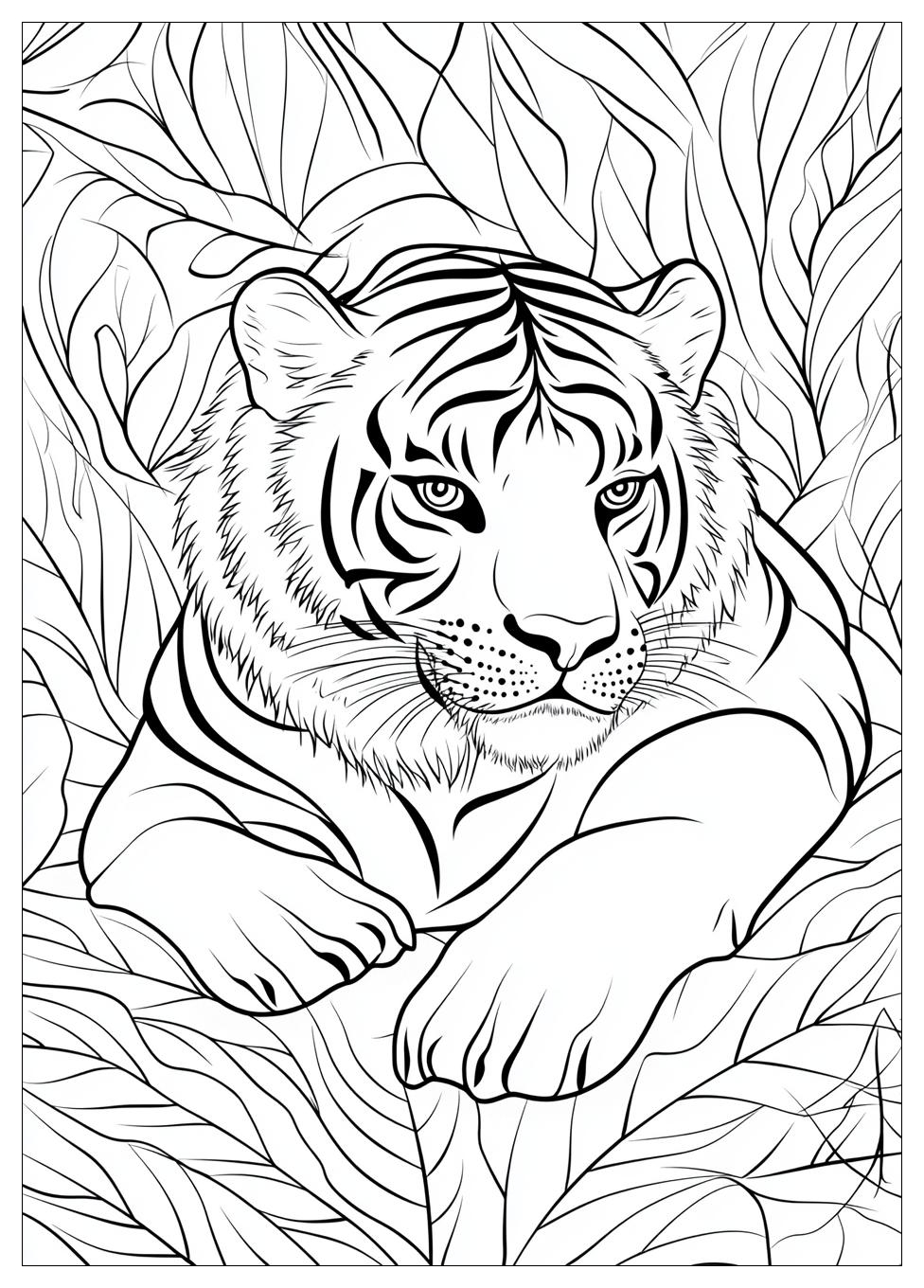 Disegni Tigre Da Colorare 6